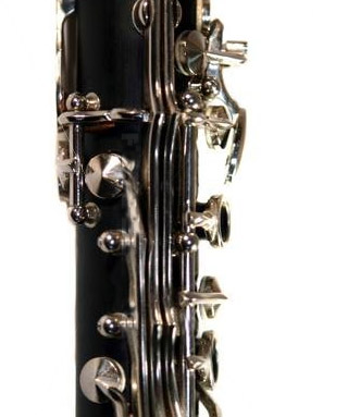 Clarinet Lessons at The Music Stand