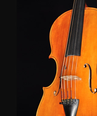 Violin Lessons at The Music Stand